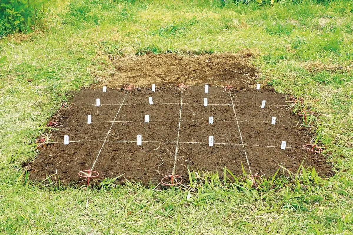 1m×1mの小さなスペースで16種類の野菜を育てる！秋まき混植