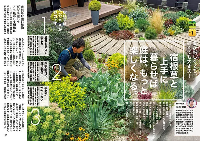 趣味の園芸』2025年11月号の紹介～宿根草を始めるなら11月／達人に学ぶ