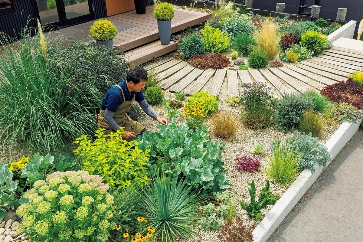 画像一覧》夏が厳しくても、狭くても大丈夫！宿根草と上手に暮らせば