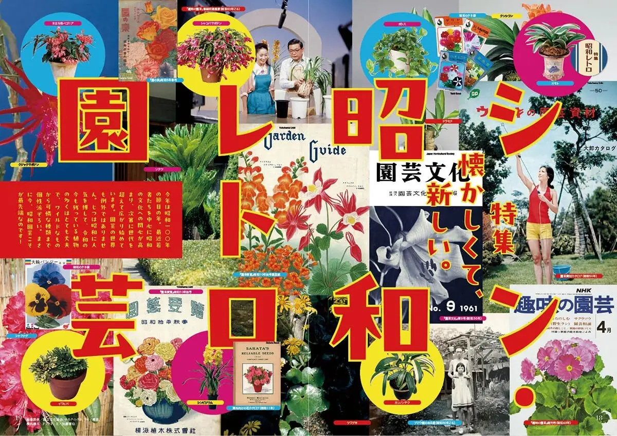懐かしくて、新しい。シン・昭和レトロ園芸～好評発売中『趣味の園芸