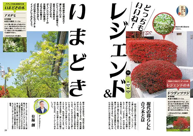 趣味の園芸』2025年12月号の紹介～懐かしくて、新しい！シン・昭和