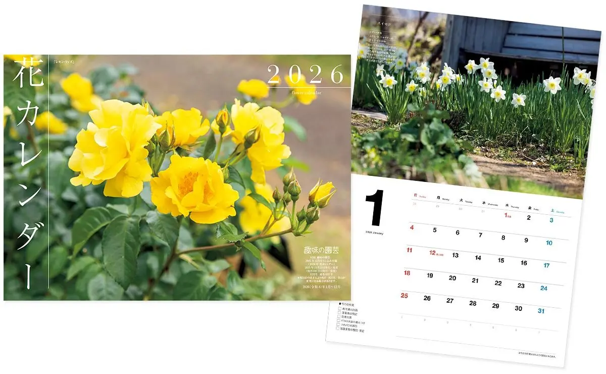 画像一覧》『趣味の園芸』2025年12月号の紹介～懐かしくて、新しい