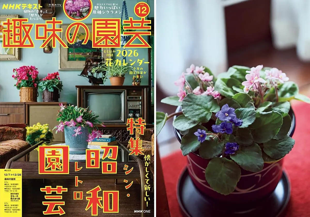 金子明人さん推し！ 今、また育てたい“昭和園芸植物”って？【趣味の