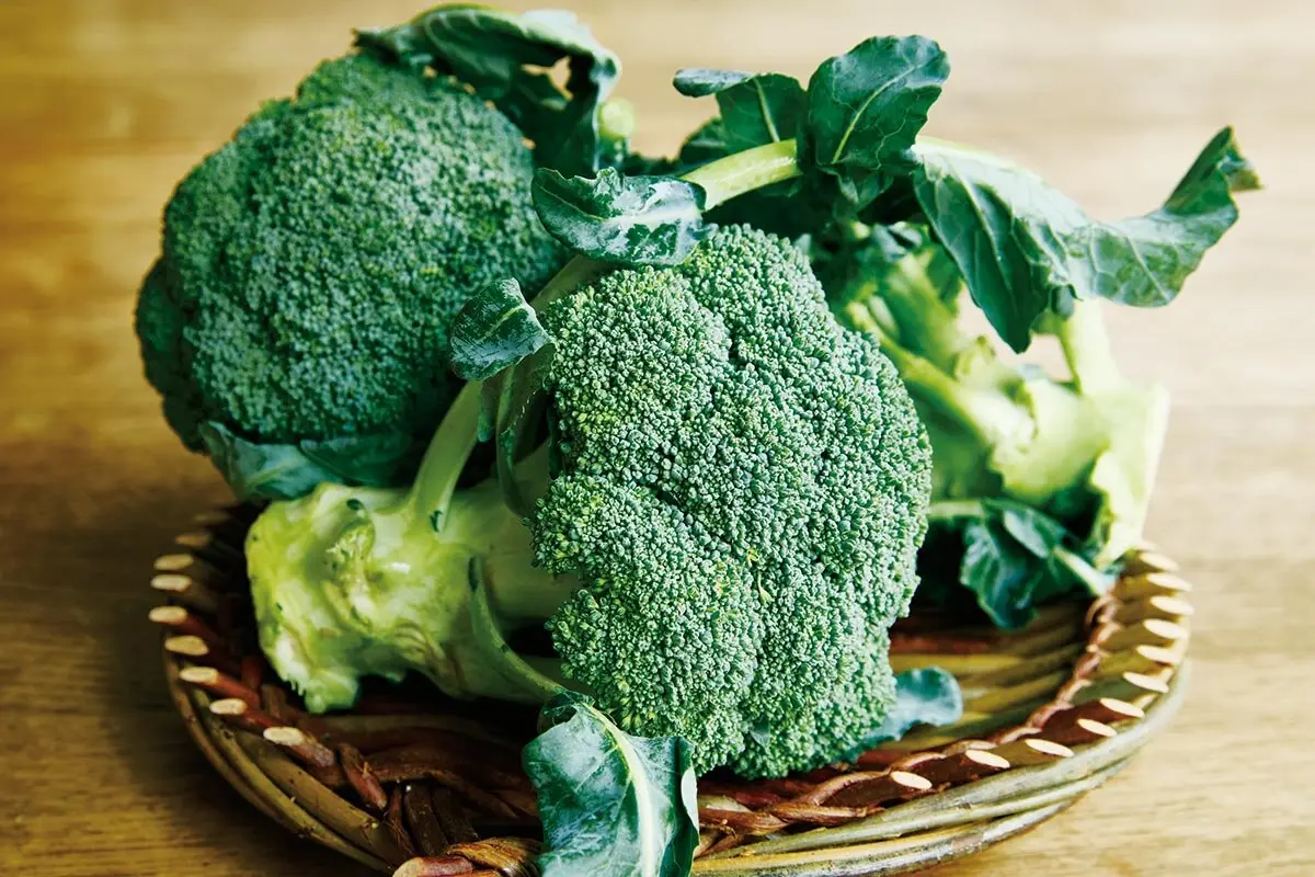 植松良枝さんに教わる、ブロッコリーの保存方法と下ごしらえ【野菜