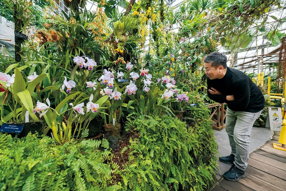 植物園の歩き方：何度も通って変化を楽しもう【植物園！ これ、かっこ 