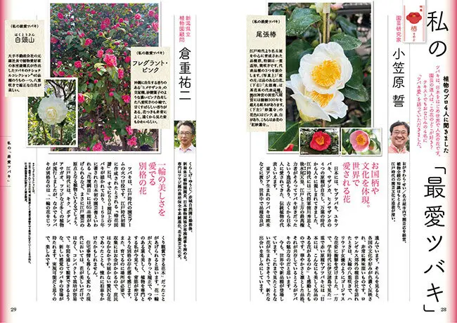 ☆椿☆プロフィール必読✩.*様 リクエスト 8点 まとめ商品 画像一覧》伝統と、革新と。椿〈ツバキ〉──好評発売中『趣味の園芸