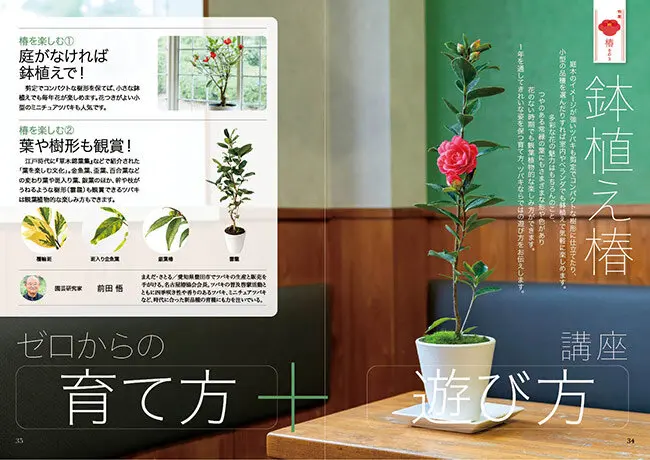 画像一覧》伝統と、革新と。椿〈ツバキ〉──好評発売中『趣味の園芸