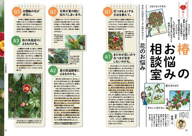 画像一覧》伝統と、革新と。椿〈ツバキ〉──好評発売中『趣味の園芸