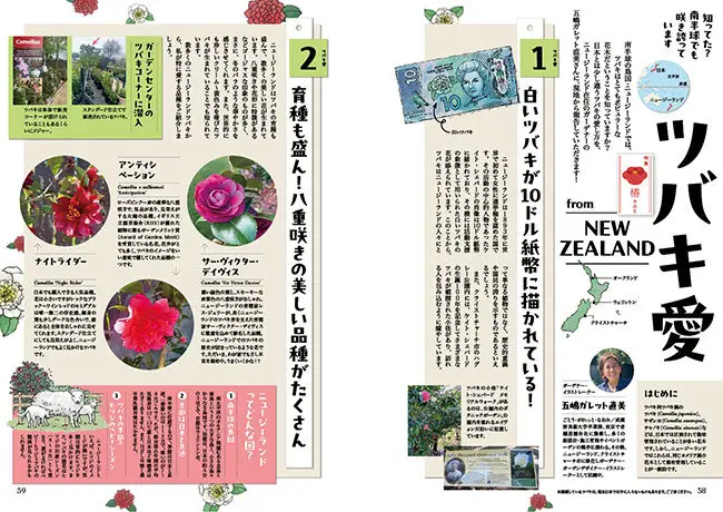 伝統と、革新と。椿〈ツバキ〉──好評発売中『趣味の園芸』2026年1月