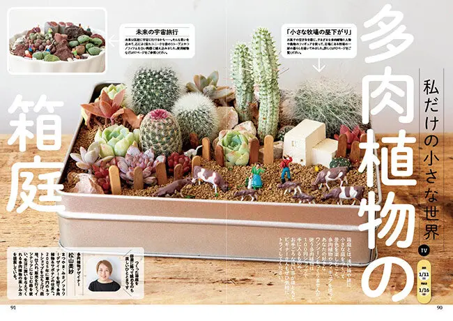 趣味の園芸』2026年1月号の紹介～椿〈ツバキの魅力、鉢植え、お悩み