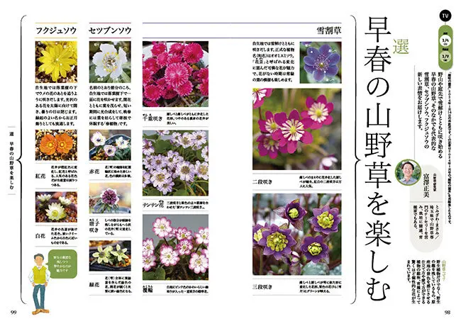 1月4日放送テーマ】早春の山野草を楽しむ／紅白カブ＆イタリアカブ