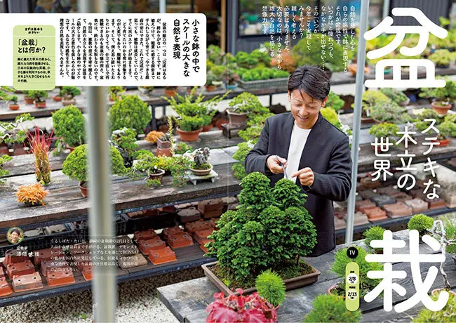 2月8日放送テーマ】盆栽 ステキな木立の世界／キノコ 冬こそインドア