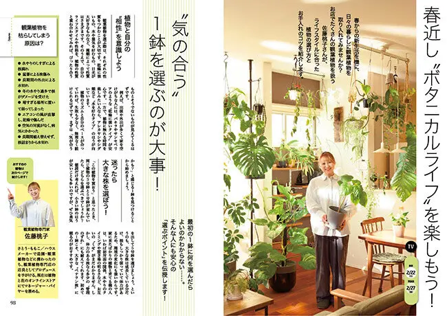 趣味の園芸』2026年2月号の紹介～今年はひと味違う、クリスマスローズ