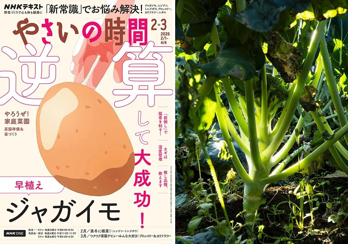 畑のアート」を見つけよう！農業カメラマン・網野文絵さんに学ぶ、撮影