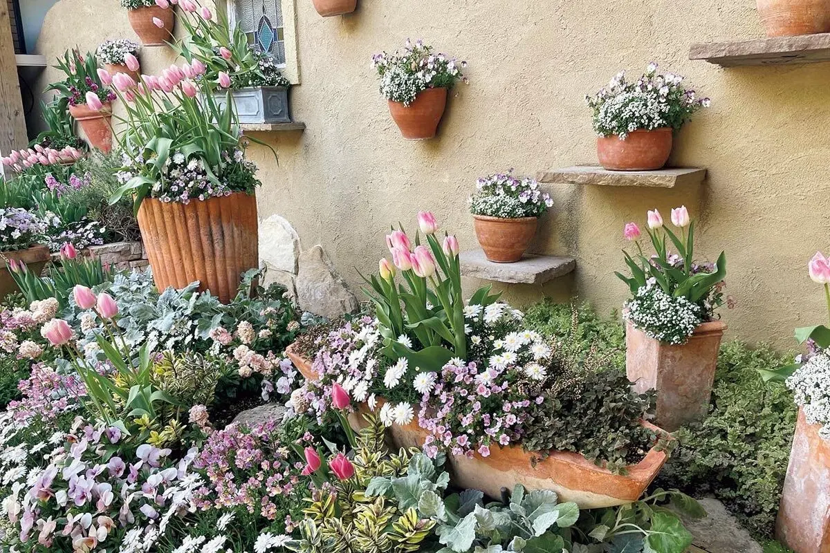 寄せ鉢スタイルでどんな場所でも小さな庭に！鉢植えの草花で楽しむ