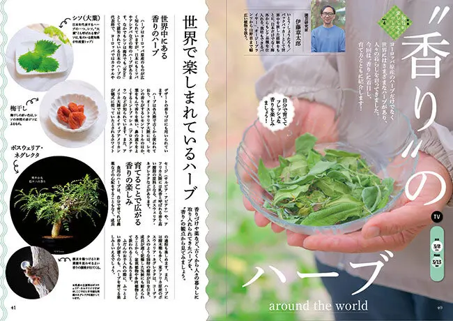 3月8日放送テーマ】香りのハーブ around the world／〈選プレミアム