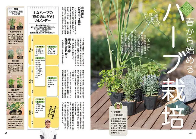 趣味の園芸』2026年3月号の紹介～毎日が楽しくなるハーブ〈春から