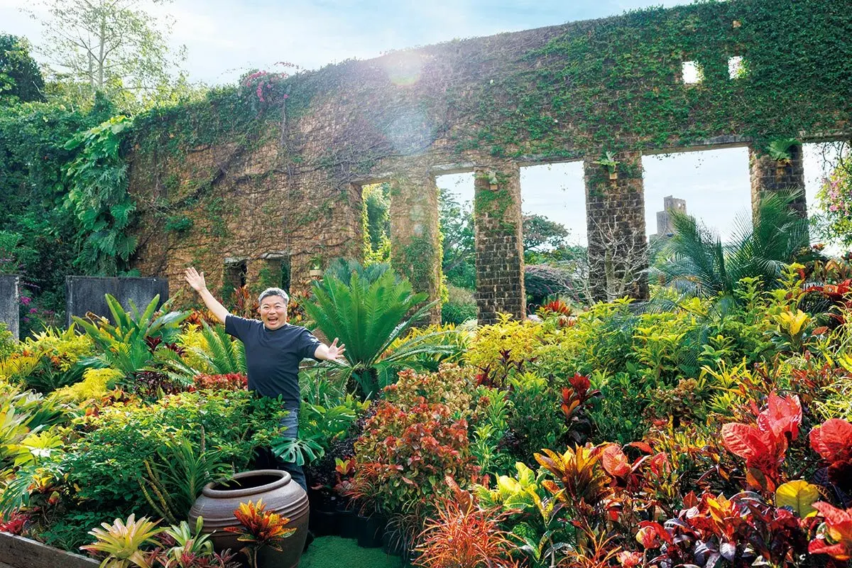 熱帯植物が生き生きと葉を広げる異世界へ！【植物園！ これ、かっこ
