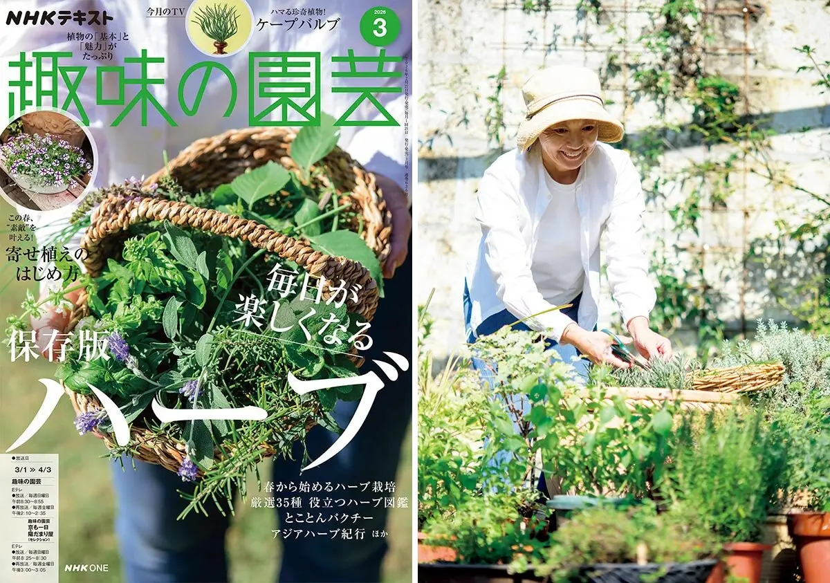 おしゃれな「農家の庭」を目指して 阿部真由美さんの庭づくり【趣味の