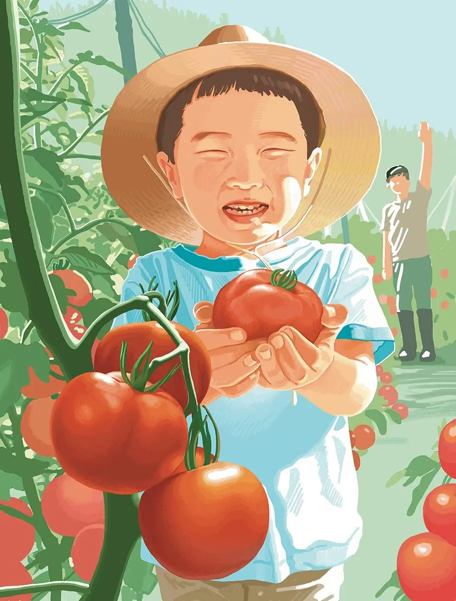デザイン一新！ 『やさいの時間』の表紙イラストを手がけるのは誰