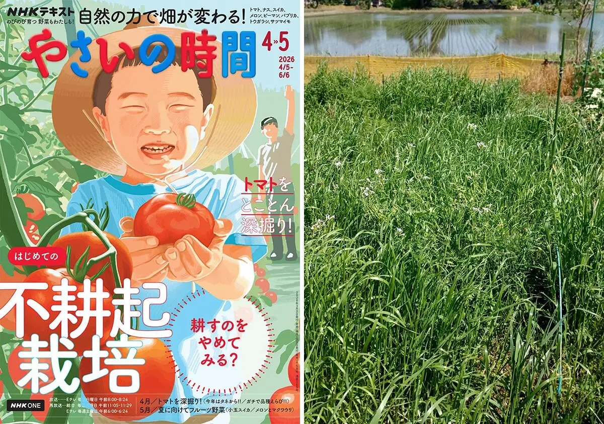 プヤ・ベルテロニアナの日記一覧|ジャカランダさんの園芸日記-みんなの