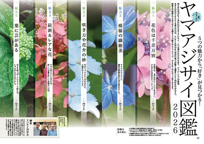 趣味の園芸』2026年6月号の紹介～ヤマアジサイの愉しみ／暑さに負け