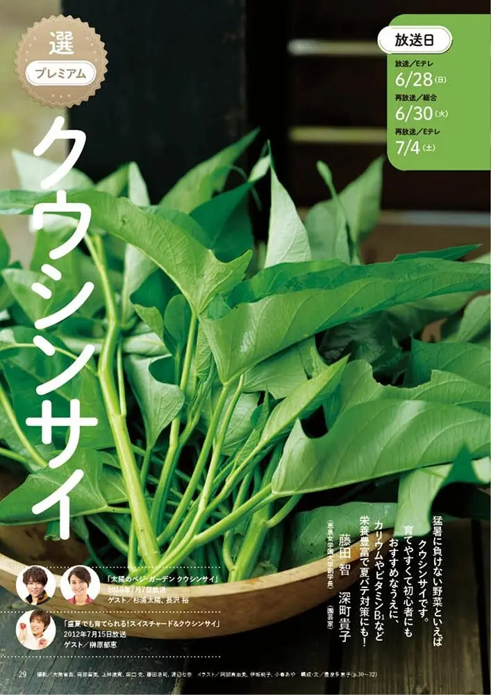 猛暑サバイバル！野菜もわたしも生きのびる号｜好評発売中『やさいの