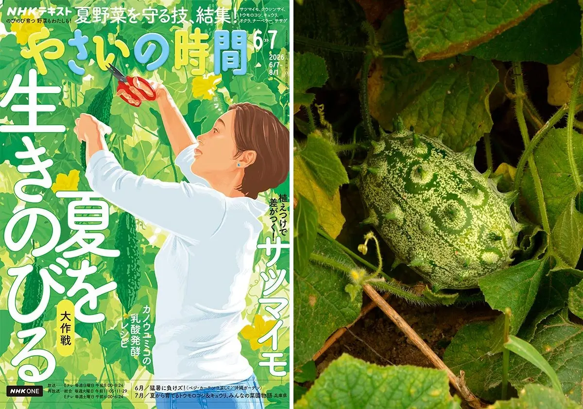 水戸の華｜園芸日記bycoge｜みんなの趣味の園芸｜296917