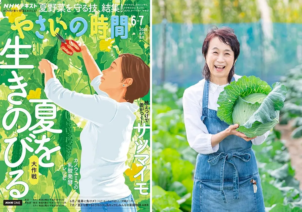 カラタネオガタマとは｜育て方がわかる植物図鑑｜みんなの趣味の園芸