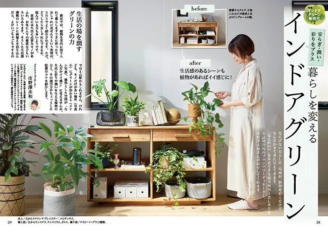 趣味の園芸』2026年7月号の紹介～インドアグリーン新時代〈観葉植物