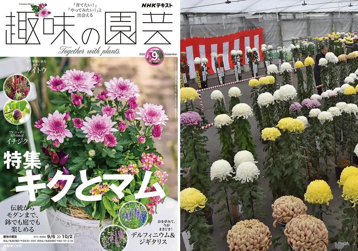 公の場での発言・インタビュー報道記録