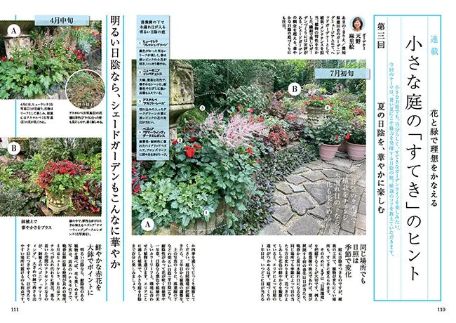 趣味の園芸』2025年7月号の紹介～猛暑でも「枯らさない技術