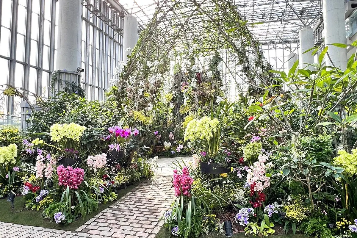 西日本最大級のラン展「あわじオーキッドフェスティバル ～百花繚蘭