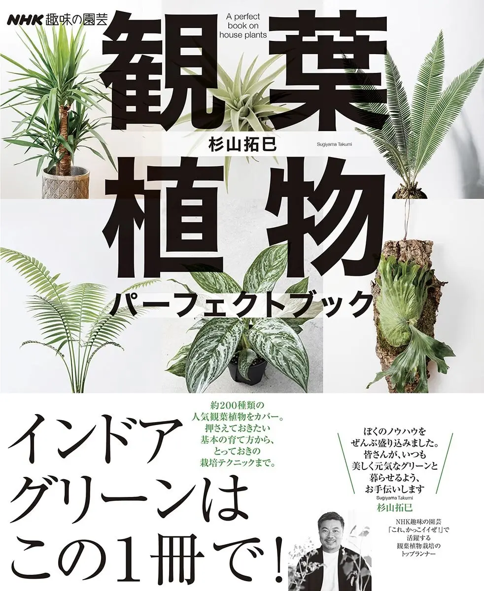 NHK趣味の園芸 観葉植物 パーフェクトブック』インドアグリーンはこの1