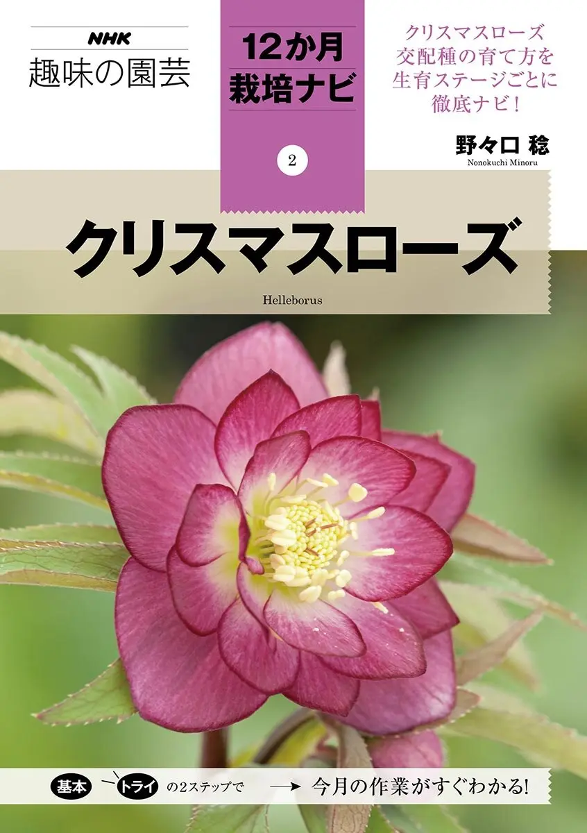 野々口 稔さんのクリスマスローズ関連イベント【2026年2月～3月開催