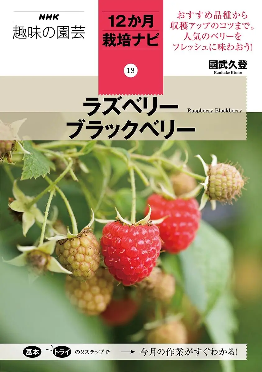 NHK趣味の園芸 12か月栽培ナビ（18）ラズベリー ブラックベリー