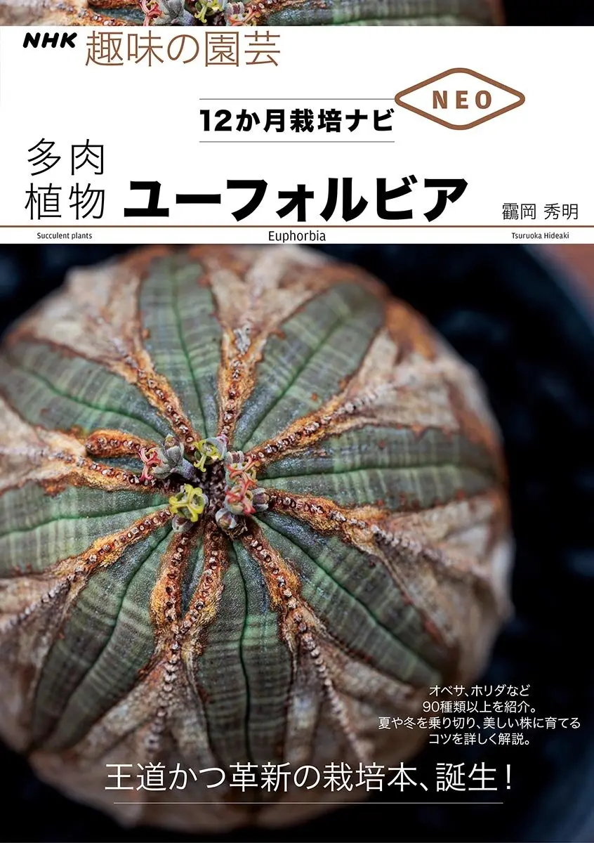NHK趣味の園芸 12か月栽培ナビNEO 多肉植物 ユーフォルビア』オベサ