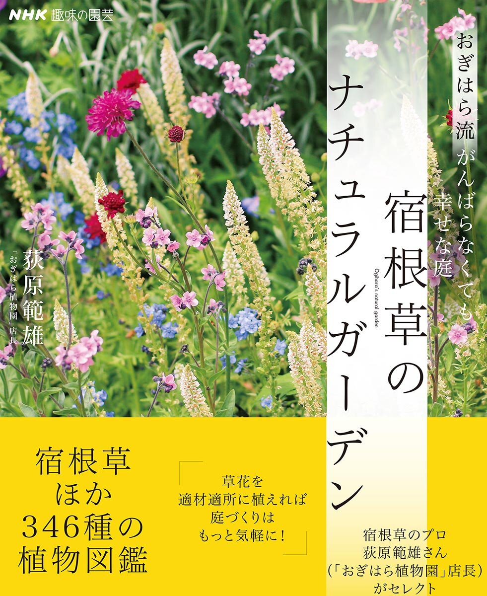 おぎはら流 がんばらなくても幸せな庭 宿根草のナチュラルガーデン