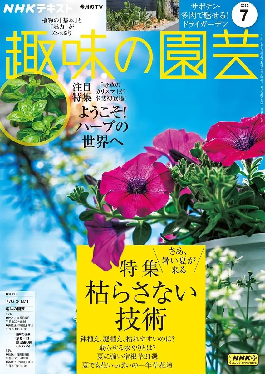 本まとめ売り 趣味の園芸 食彩浪漫 今日の健康 他 趣味の園芸』2025年7月号の紹介～猛暑でも「枯らさない技術