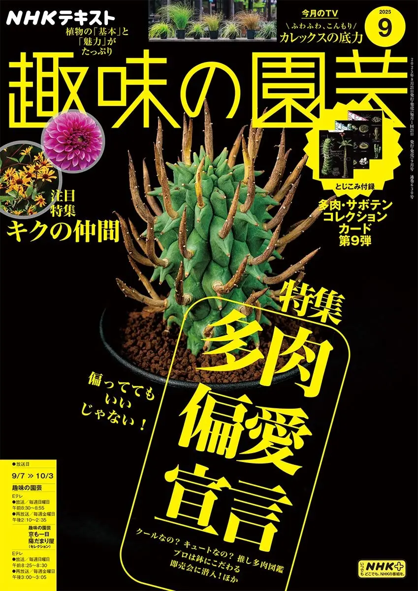趣味の園芸』2025年9月号の紹介～多肉偏愛宣言〈とじ込み付録
