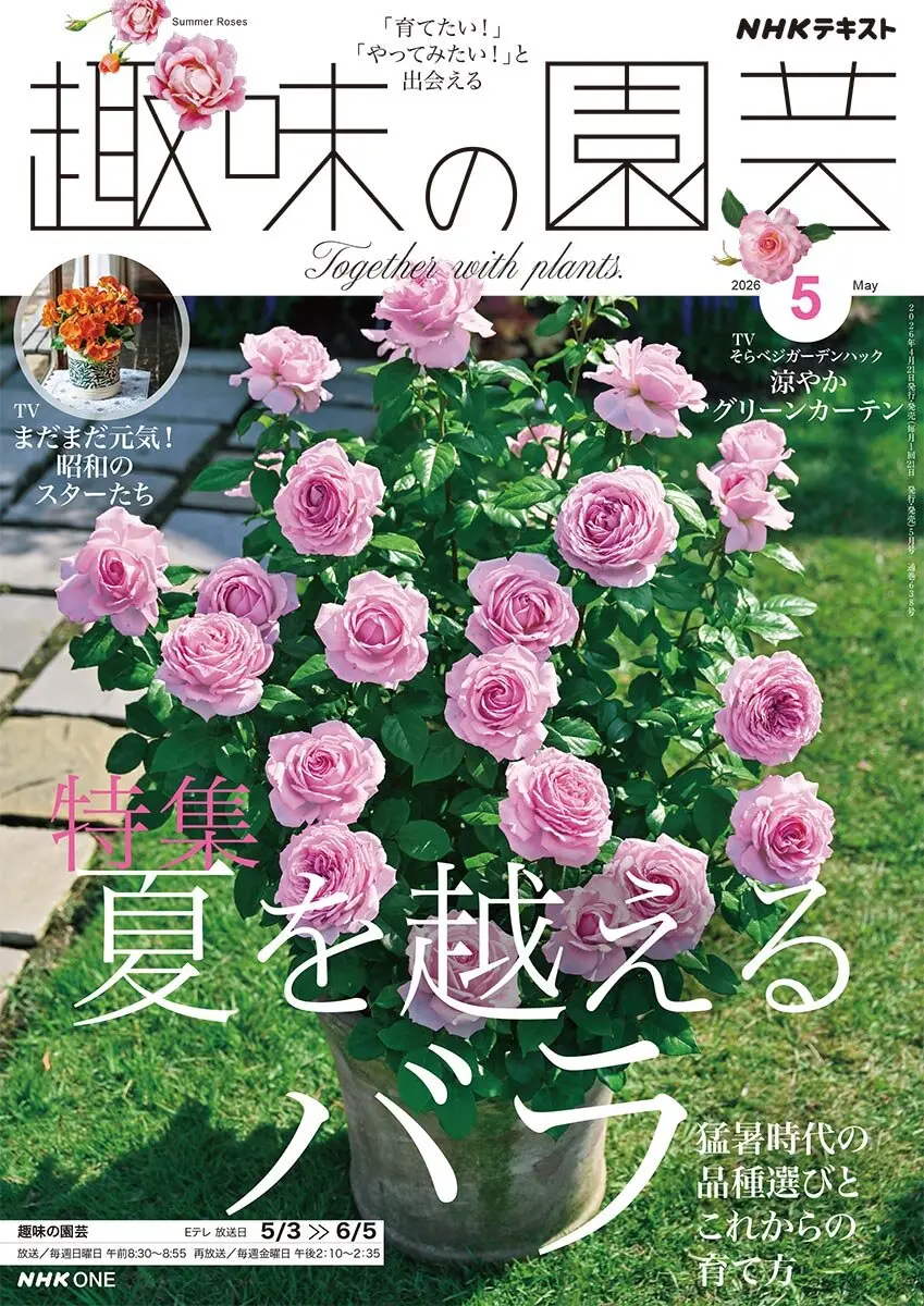 趣味の園芸』2026年5月号の紹介～夏を越えるバラ〈猛暑時代の品種選び