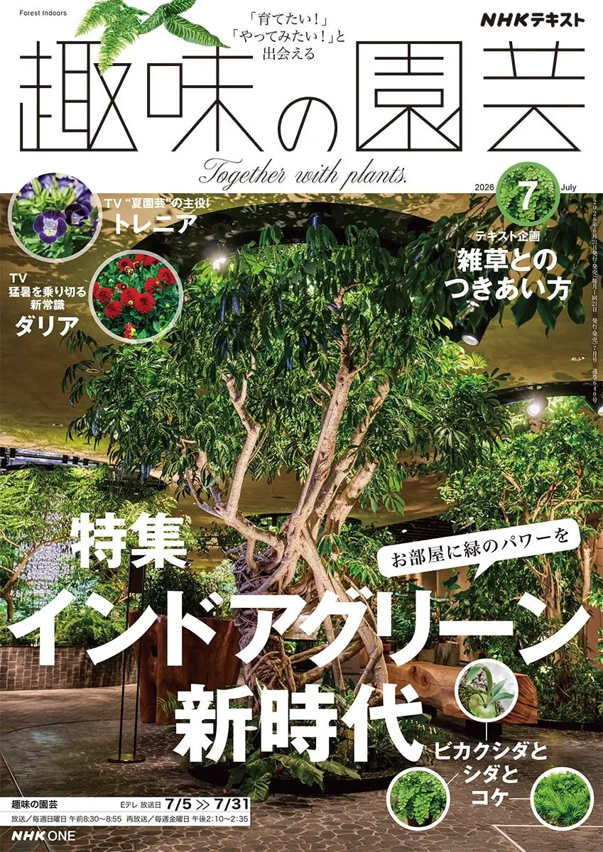 趣味の園芸』2026年7月号の紹介～インドアグリーン新時代〈観葉植物