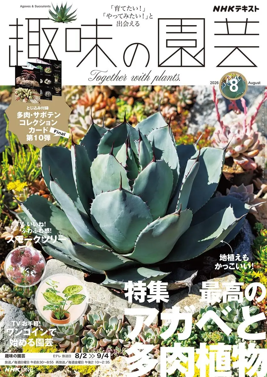 趣味の園芸』2026年8月号の紹介～最高のアガベと多肉植物【とじ込み