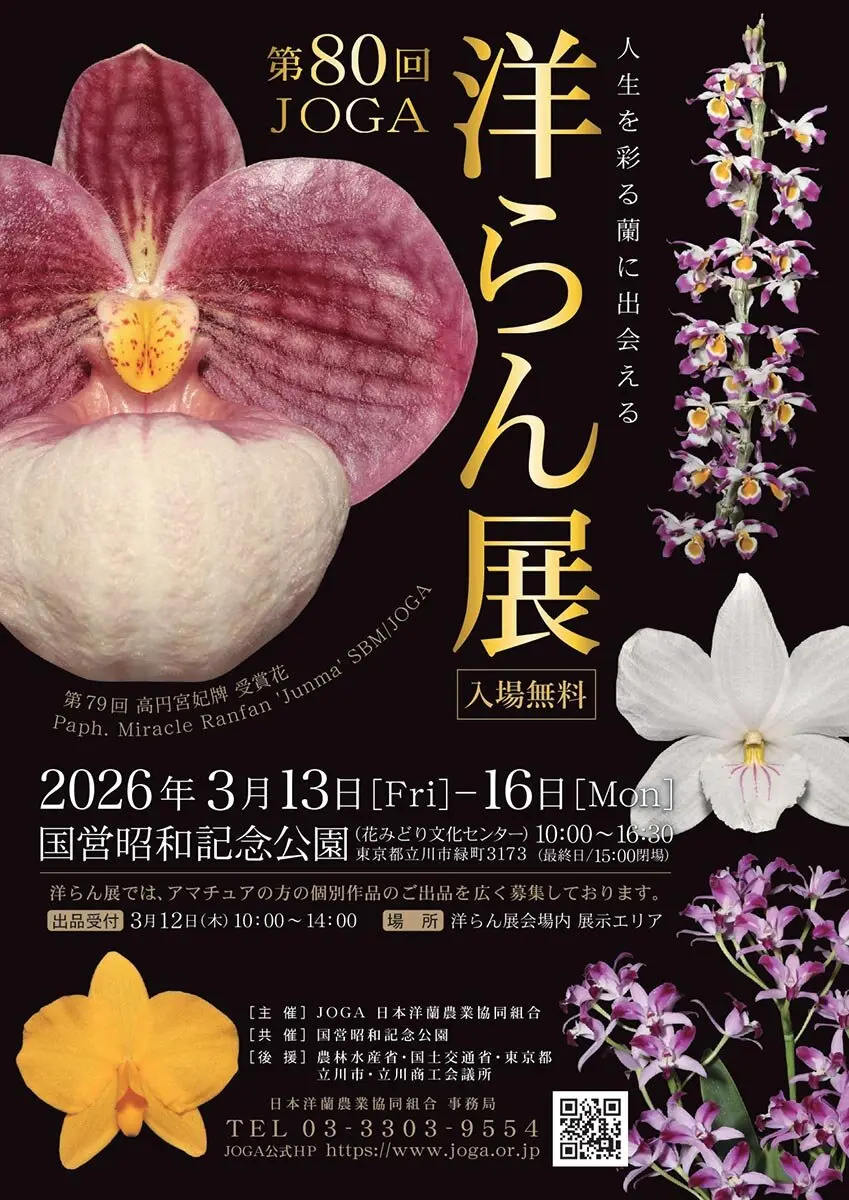 第80回JOGA洋らん展、昭和記念公園で開催 人生を彩る蘭に出会える4日間
