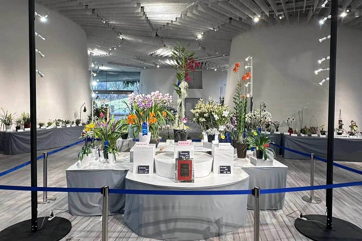 第80回JOGA洋らん展、昭和記念公園で開催 人生を彩る蘭に出会える4日間