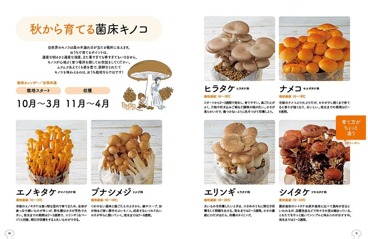 きのこ様専用 確認用ページ フシギにはまる！ おうちで育てるキノコ 