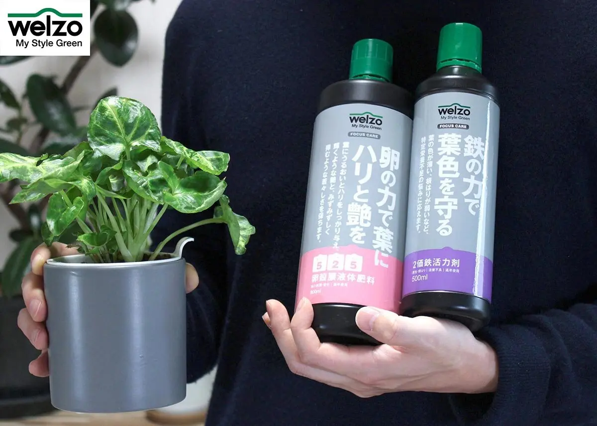 サワフタギの瑠璃色💙と白い実のサワフタギ｜園芸日記byドブたぬきの