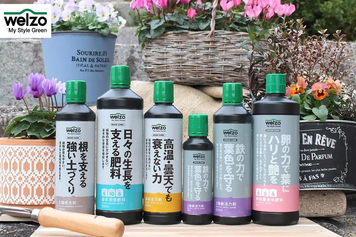 ミツバツツジの種類（原種、品種）｜植物図鑑｜みんなの趣味の園芸