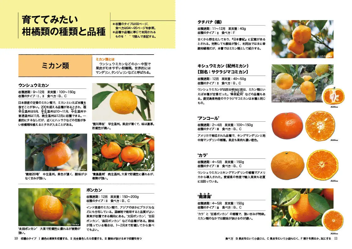かんきつ類―レモン、ミカン、キンカンなど (NHK趣味の園芸12か月栽培ナビ(6)) かんきつ類 レモン、ミカン NHK趣味の園芸 (nhk趣味の園芸 ⼤⼈気果樹・レモンの栽培を完全ガイド『12か⽉栽培ナビ レモン』1月18 かんきつ類―レモン、ミカン、キンカンなど (NHK趣味の園芸12か月栽培ナビ(6)) かんきつ類 レモン、ミカン NHK趣味の園芸 (nhk趣味の園芸 ⼤⼈気果樹・レモンの栽培を完全ガイド『12か⽉栽培ナビ レモン』1月18