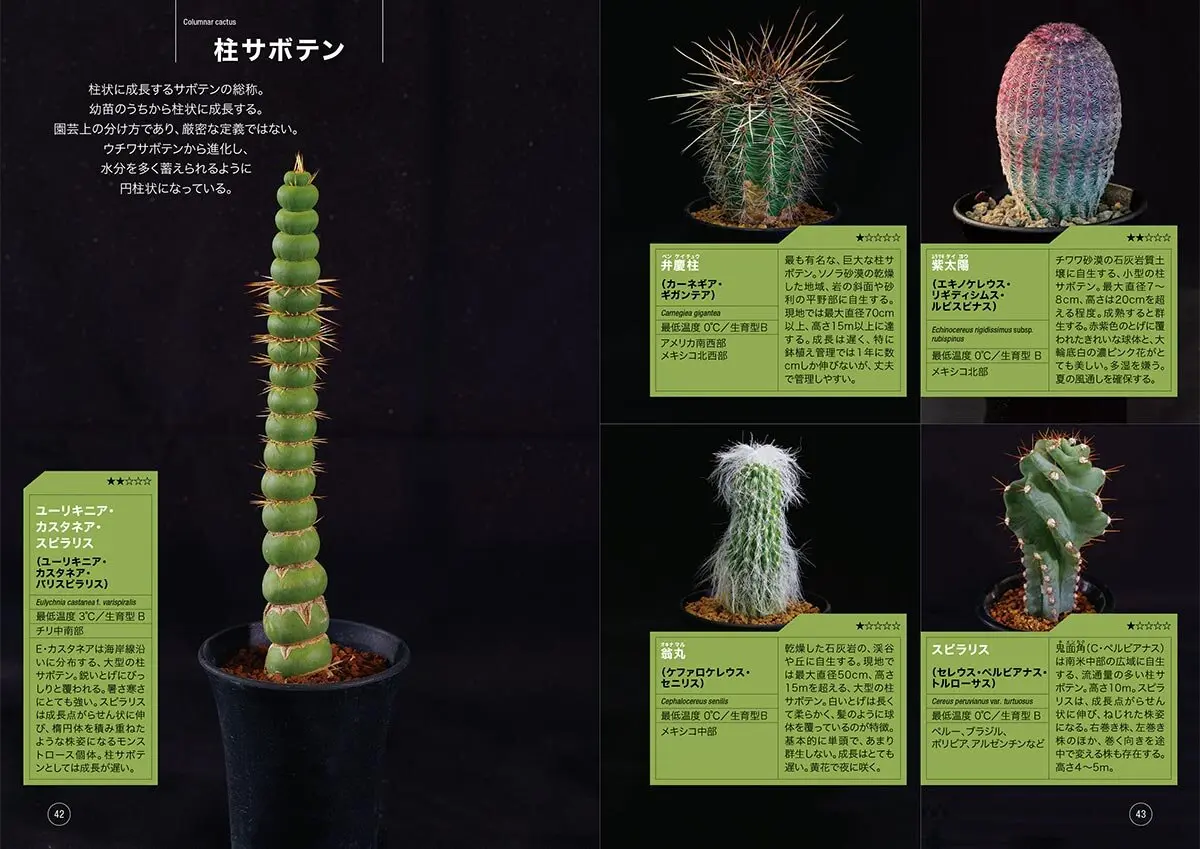 NHK趣味の園芸 12か月栽培ナビNEO 多肉植物 サボテン』毎月の管理が